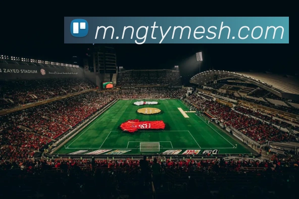NG体育APP 封面图